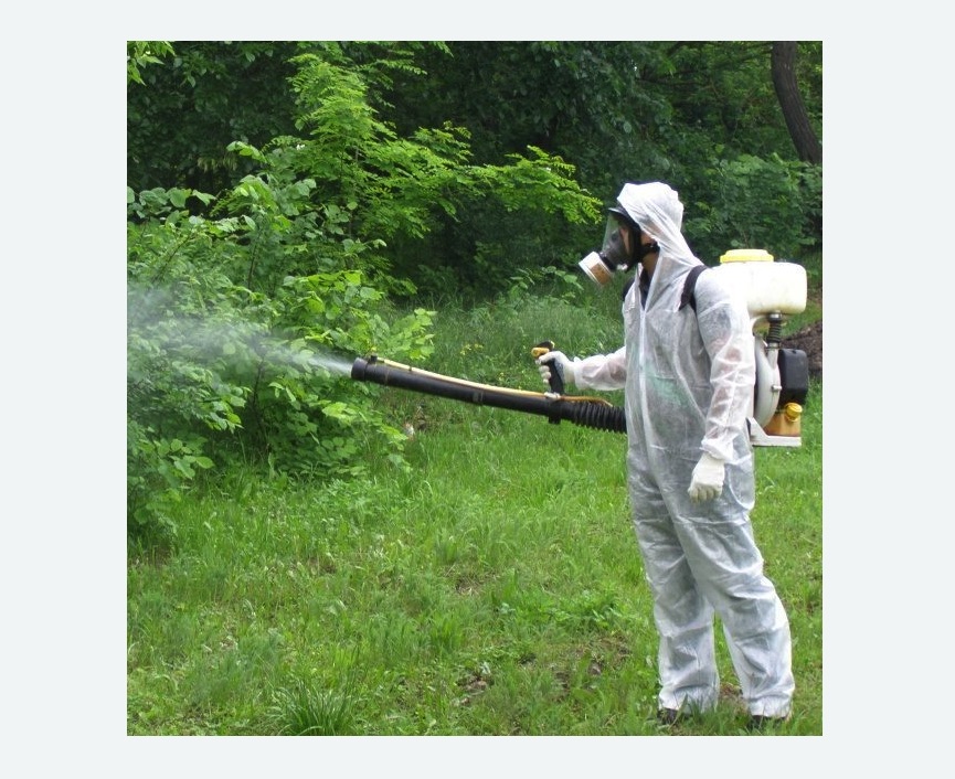 обработка дачи от клещей обработка территории от клещей в Александровск-Сахалинском