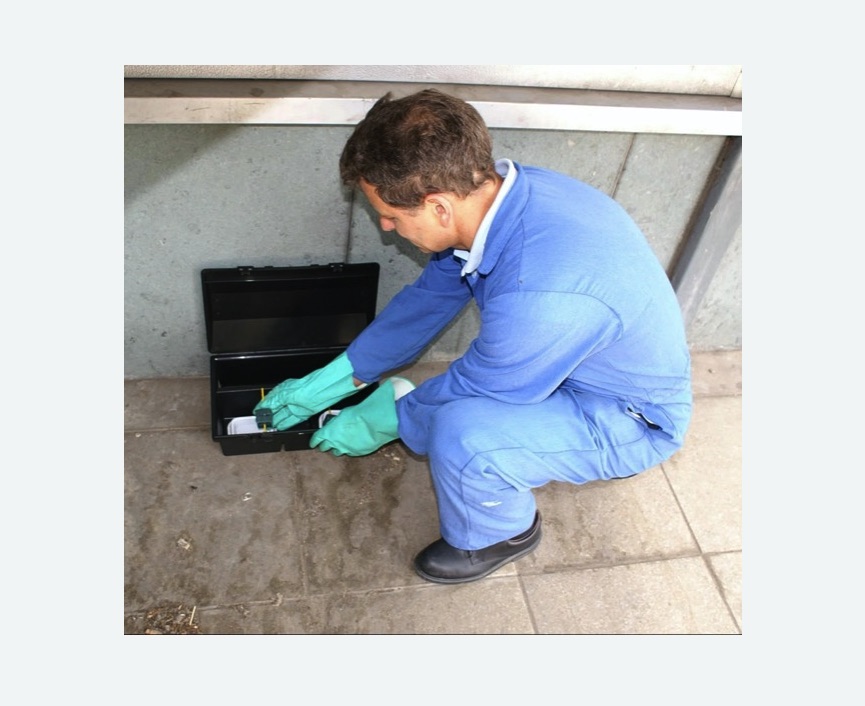 Дератизация помещения в Александровск-Сахалинском Дератизация помещения