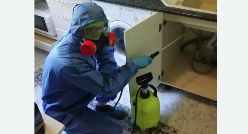 Уничтожение муравьев в квартире. Александровск-Сахалинский