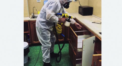 Уничтожение насекомых в квартире. Александровск-Сахалинский