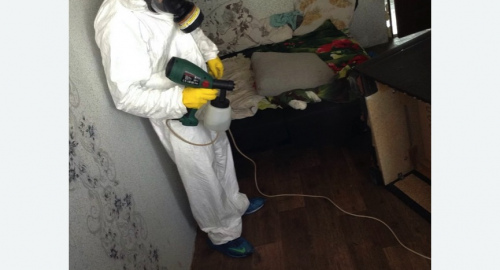 Обработка квартир от насекомых в Александровск-Сахалинском