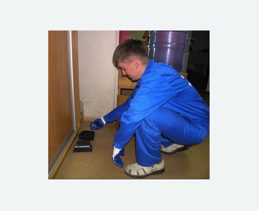 Дератизация крыс в Александровск-Сахалинском