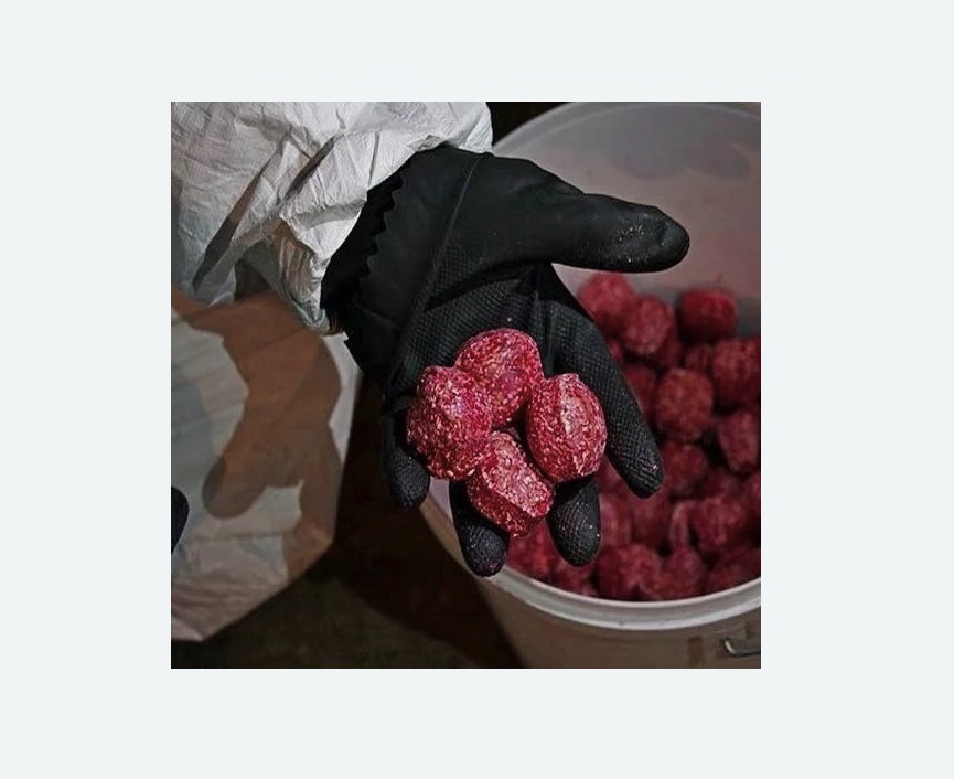 Обработка от крыс в Александровск-Сахалинском