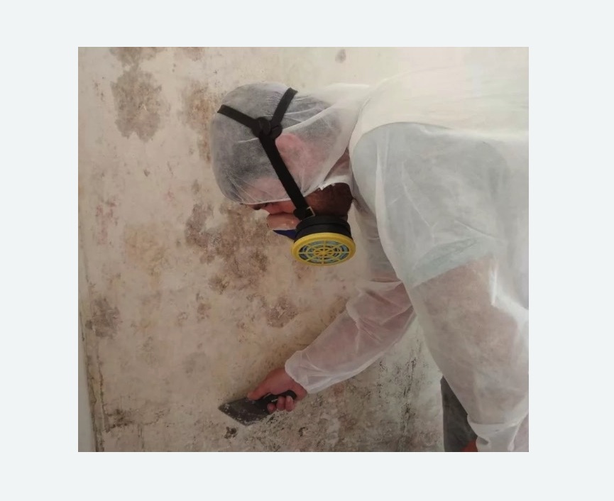 Обработка стен от плесени в Александровск-Сахалинском