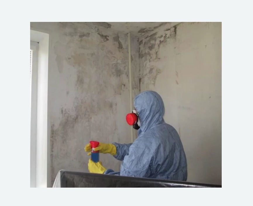 Удаление плесени в квартире в Александровск-Сахалинском