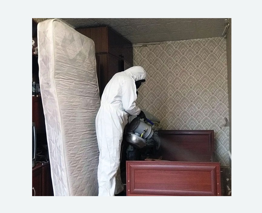 дезинфекция от клопов в Александровск-Сахалинском