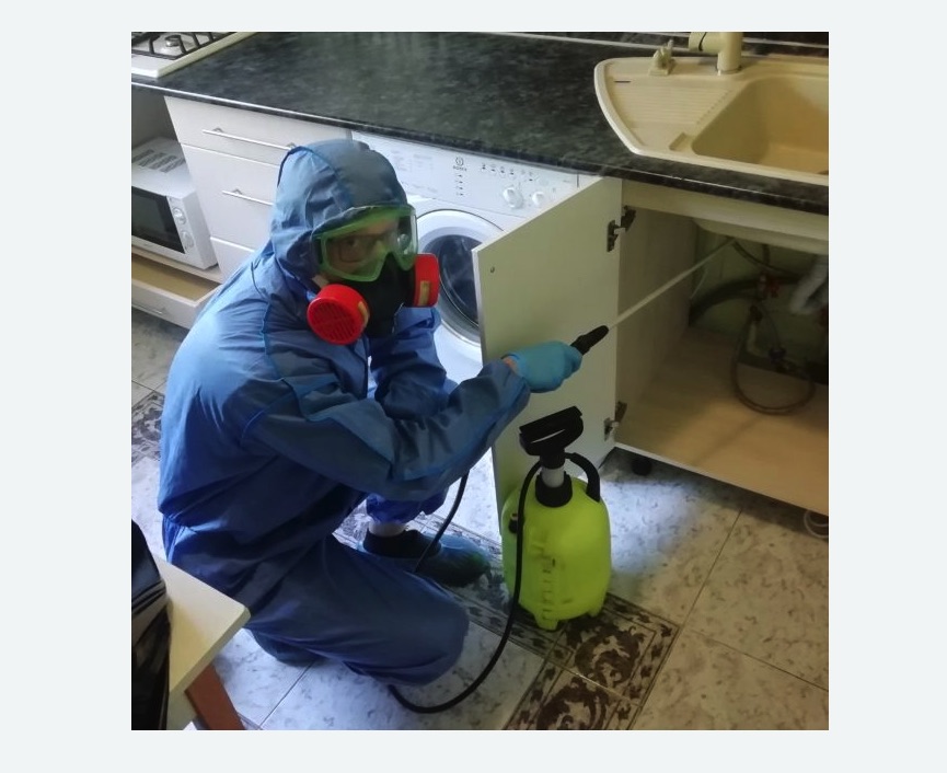 обработка от муравьев в квартире в Александровск-Сахалинском