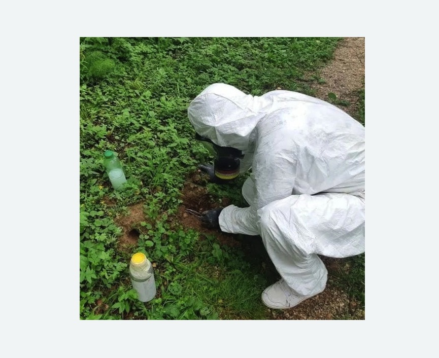 уничтожение кротов на участке в Александровск-Сахалинском