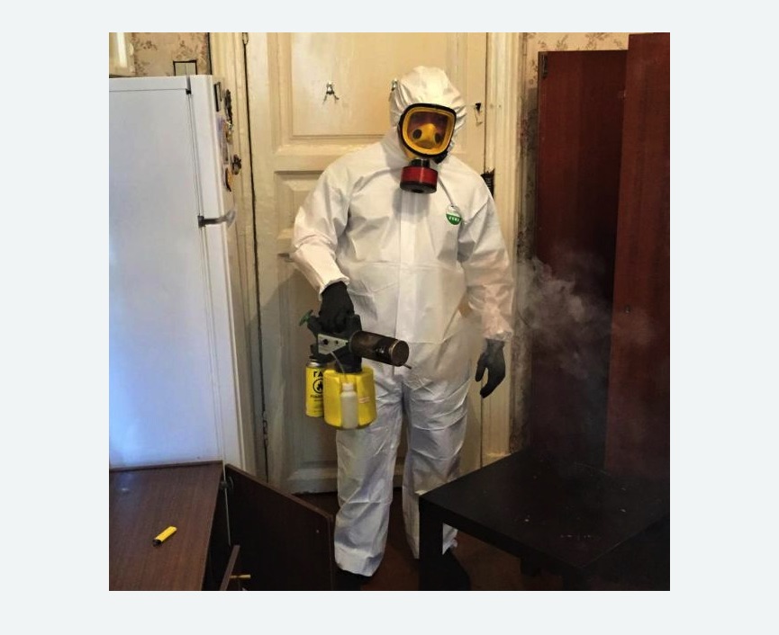 уничтожение муравьев в квартире в Александровск-Сахалинском